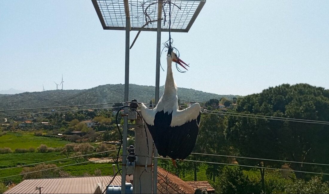 Aydın’ın Söke ilçesine bağlı