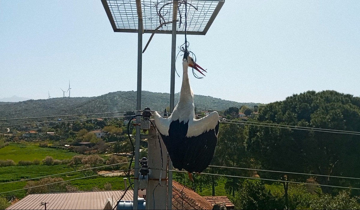 Boğulmaktan son anda kurtarıldı