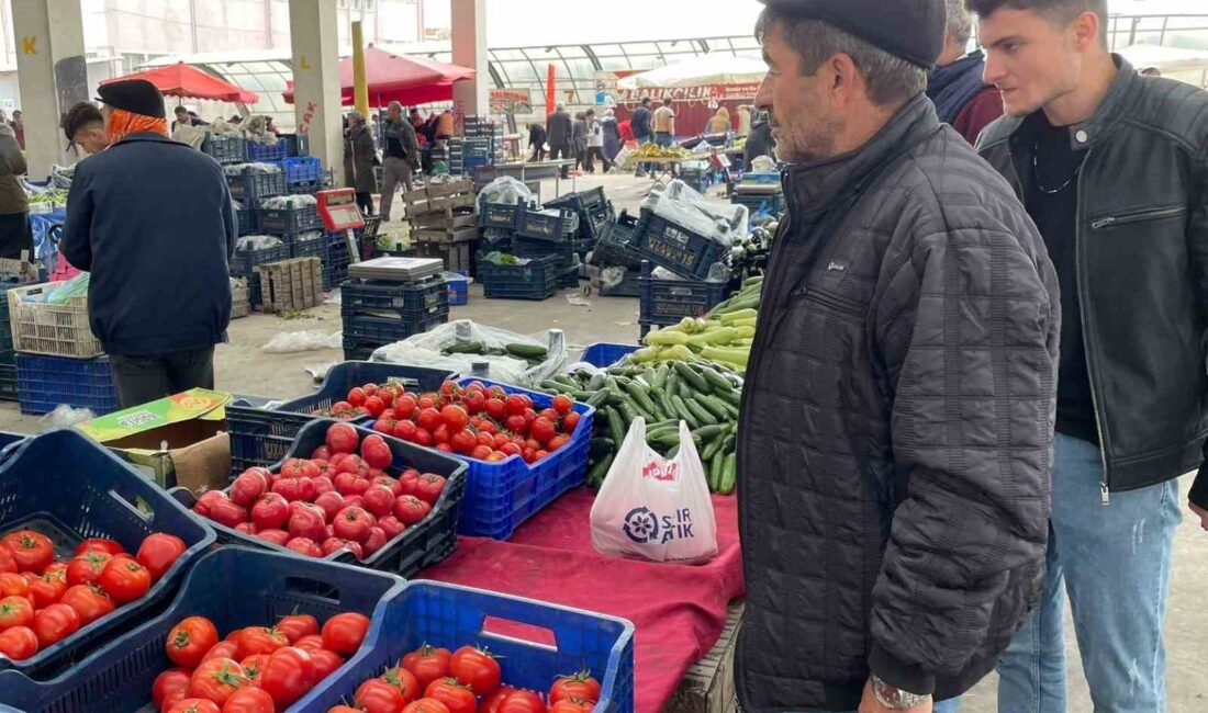 Afyonkarahisar’da havaların ısınmaya başlaması