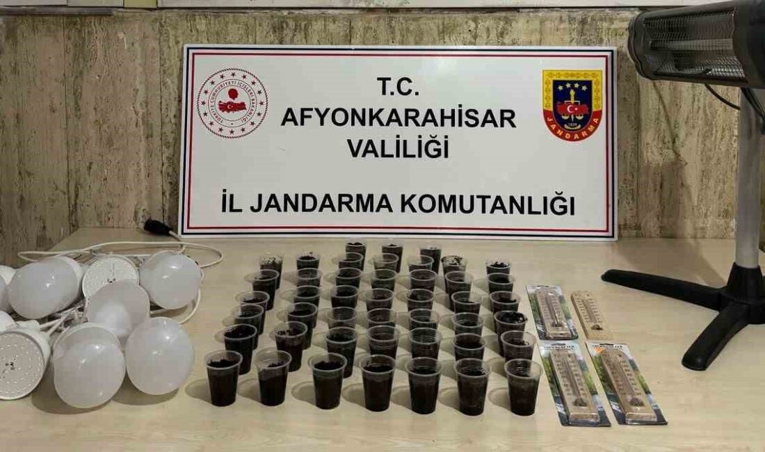 Afyonkarahisar’ın Emirdağ ilçesinde jandarma