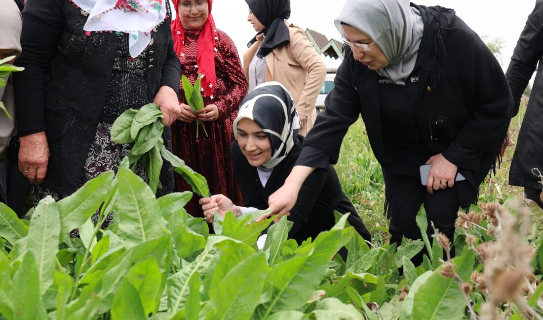 Coğrafi İşaret Tescilli labada