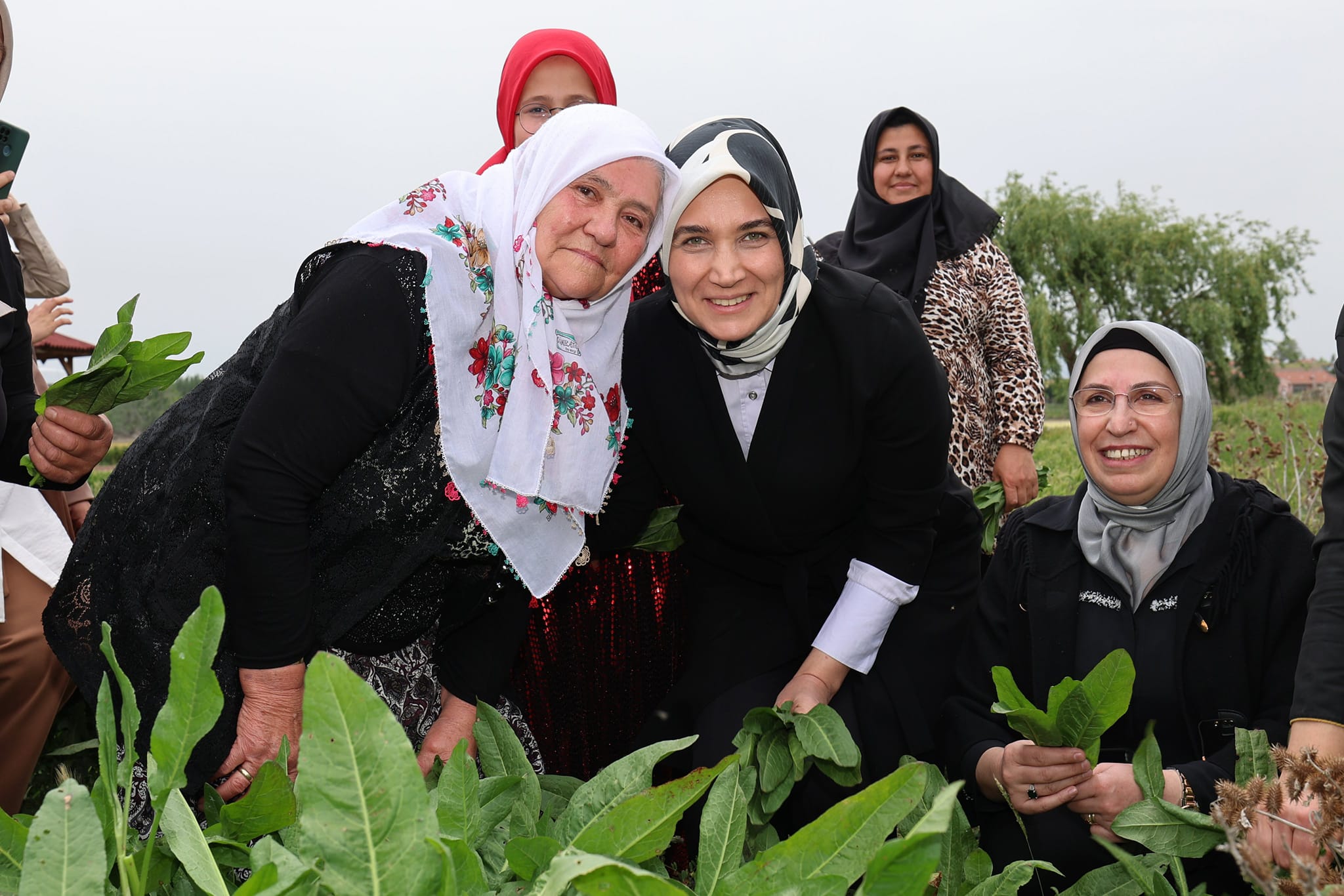 Vali Yiğitbaşı İlibada Dolması sardı