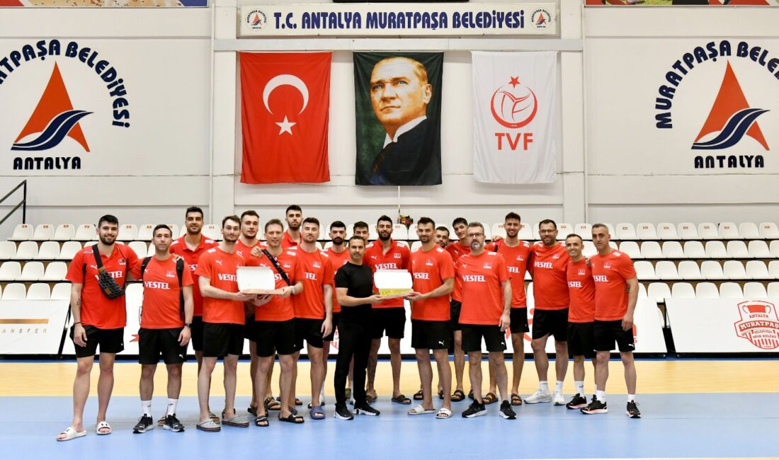 A Milli Erkek Voleybol