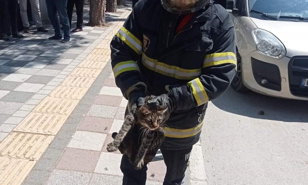 Afyonkarahisar’da tırmandığı ağaçta mahsur