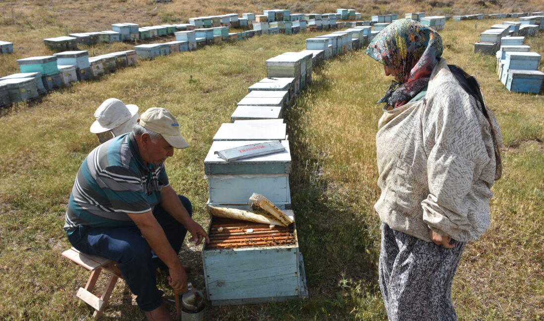   Muğla’nın Köyceğiz ilçesi