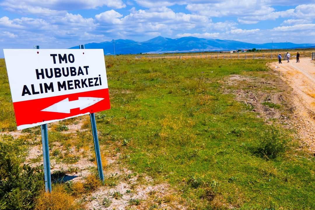 Arpa ve buğday alımları 25 Haziran’da başlıyor