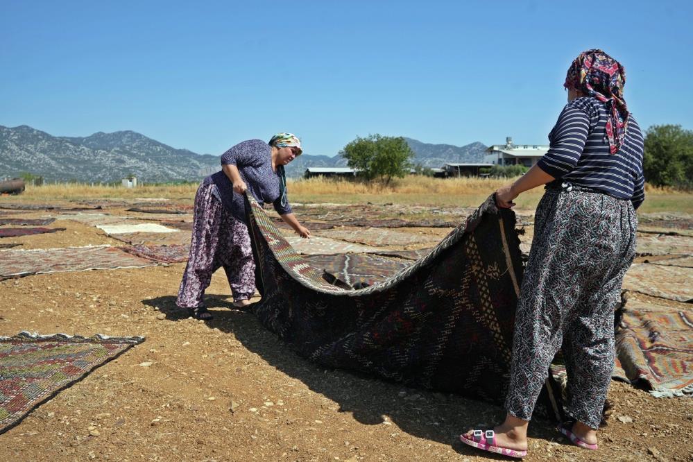 Binlerce halı meraklısının gözü bu tarlada