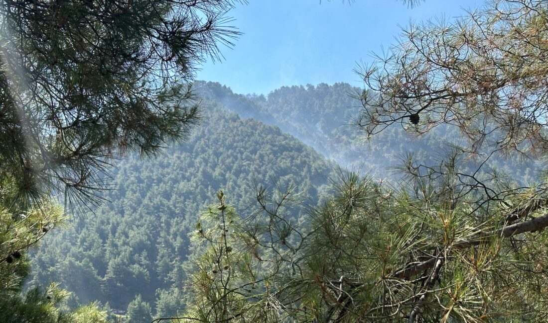 Tarım ve Orman Bakanı