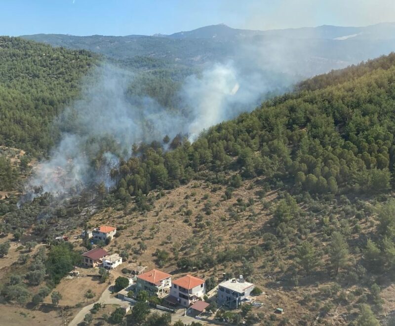 Muğla’nın Milas ilçesinde orman yangını çıktı