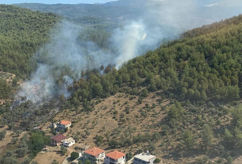 Muğla’nın Milas ilçesinde çıkan