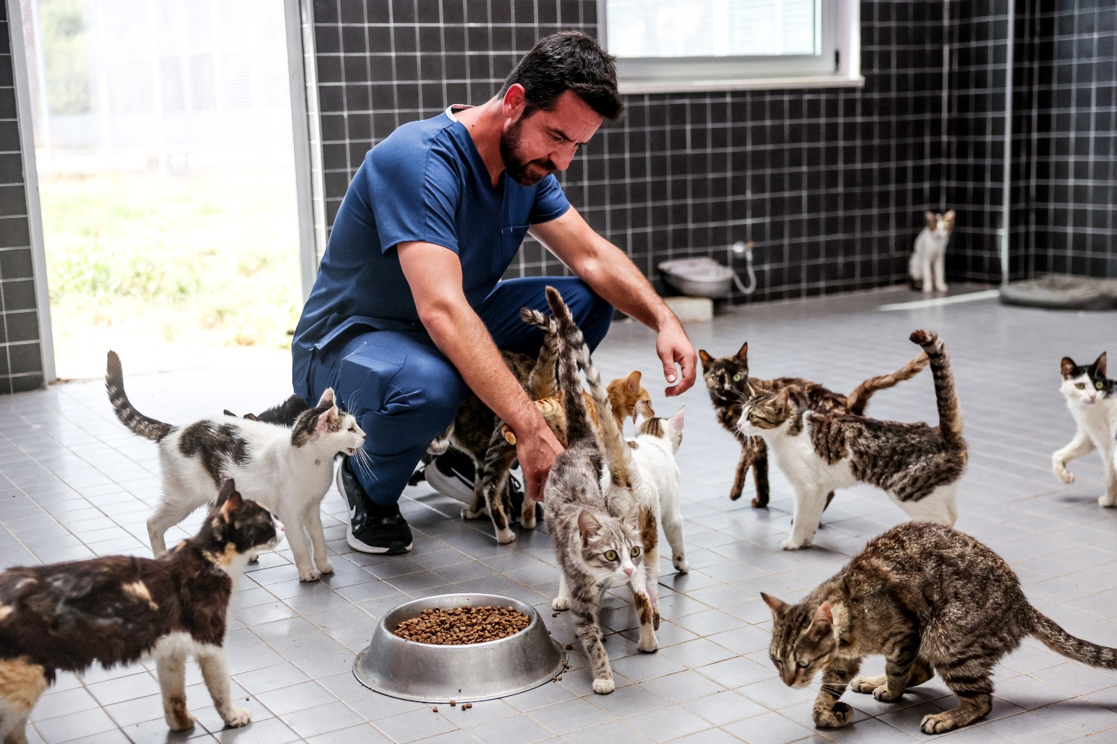 Antalya Büyükşehir Bakım Evi’nde sokak hayvanları güvende