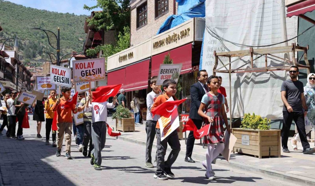 Afyonkarahisar Valiliği koordinesinde İl