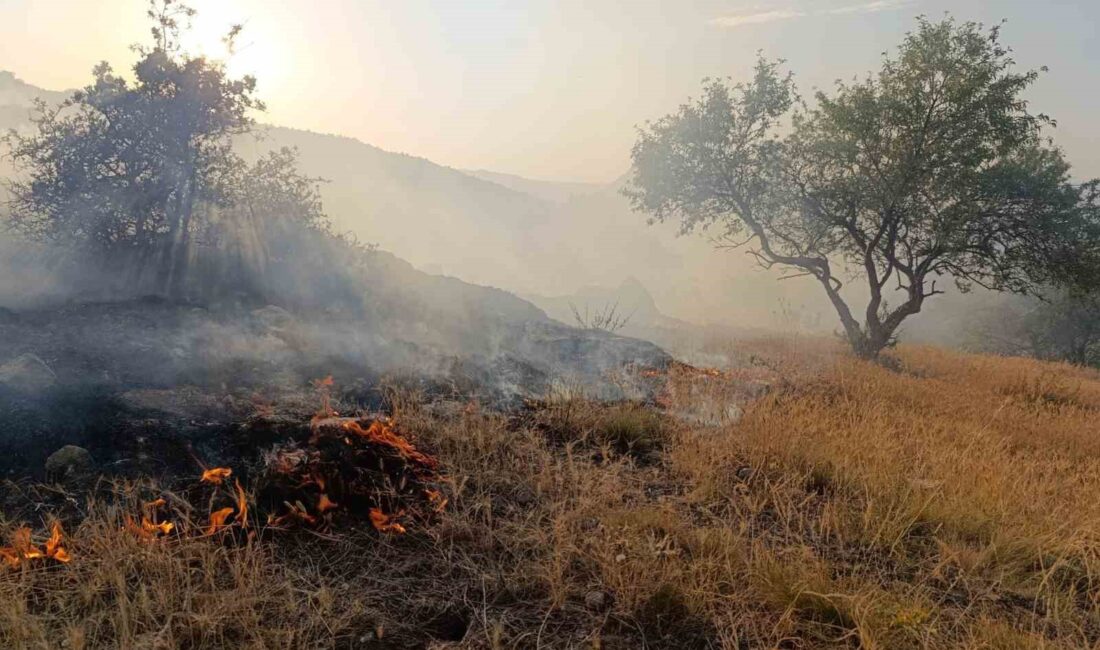 Afyonkarahisar’ın Hıdırlı Tepesi mevkiindeki