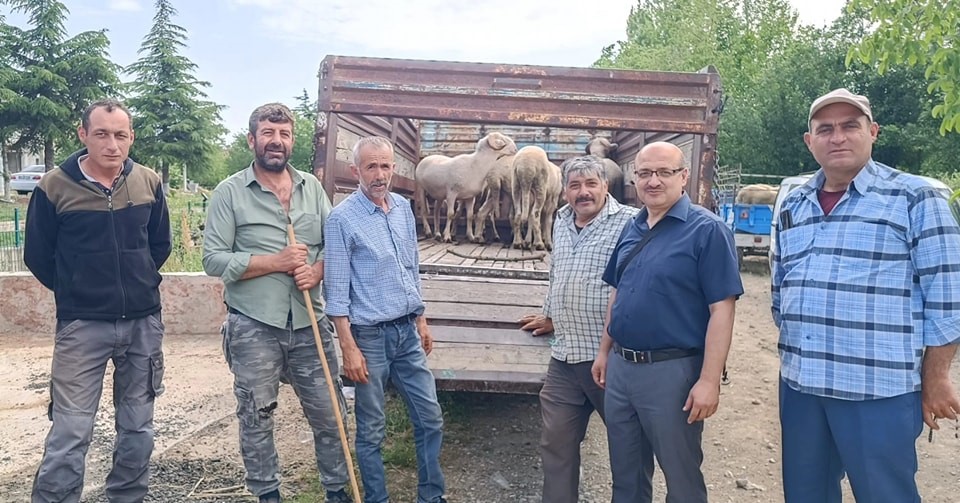 Canlı hayvan taşımacılığına yönelik denetim