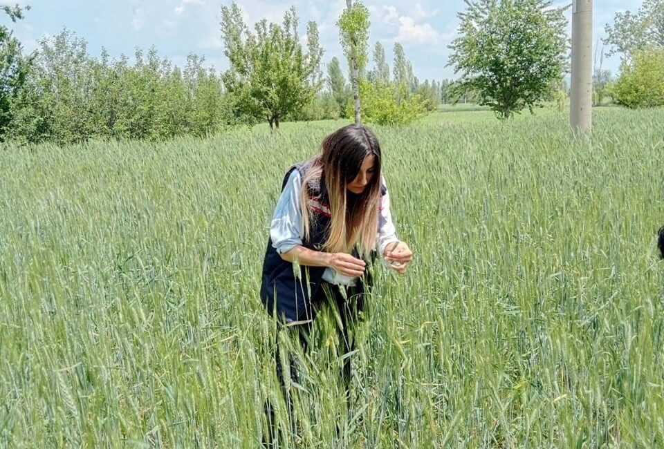 Afyonkarahisar’ın Sinanpaşa ilçesinde ki