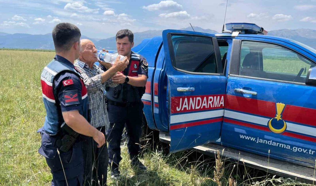 Afyonkarahisar’da tarlaya gitmek üzere