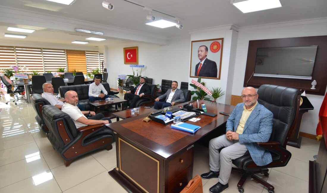 Afyonkarahisar AK Parti İl