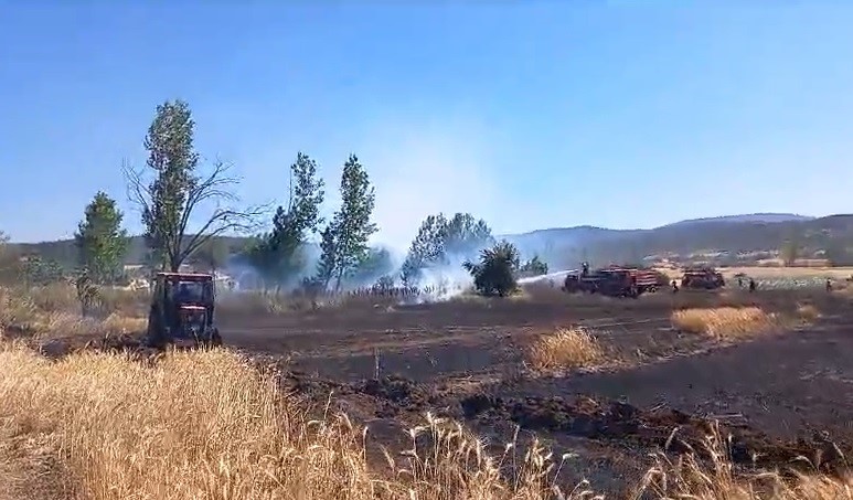 Tavşanlı’da yürekler ağza geldi!