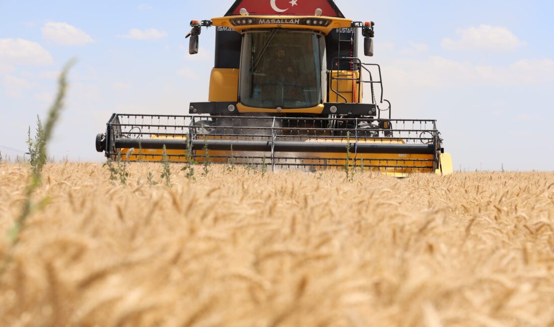 Türkiye’nin tahıl ambarı olarak