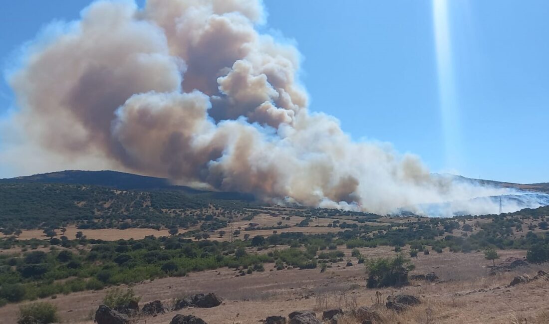 Çanakkale’de Haziran ayında 31’i