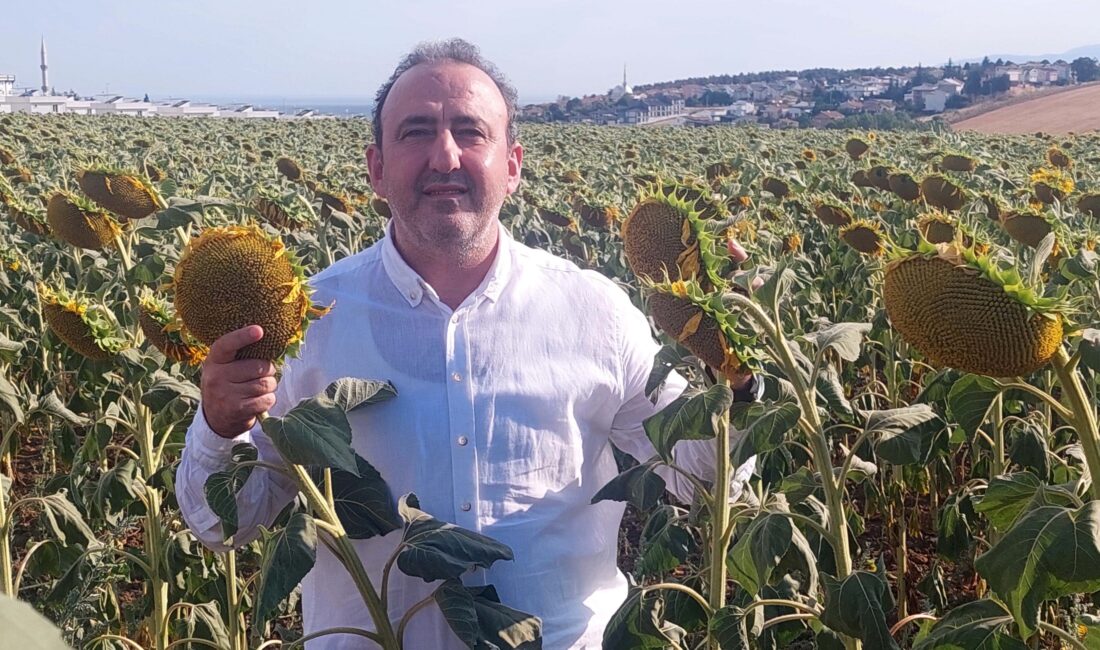 Trakya Bölgesinde yaygınlaştırılan yerli