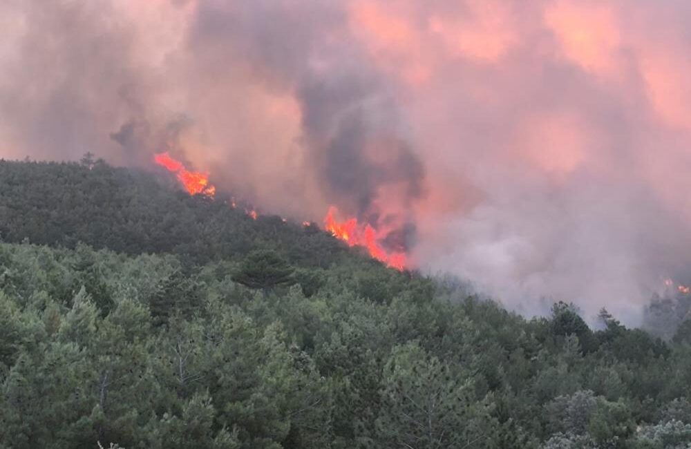 Yangın, Uşak’ın Banaz ilçesinde