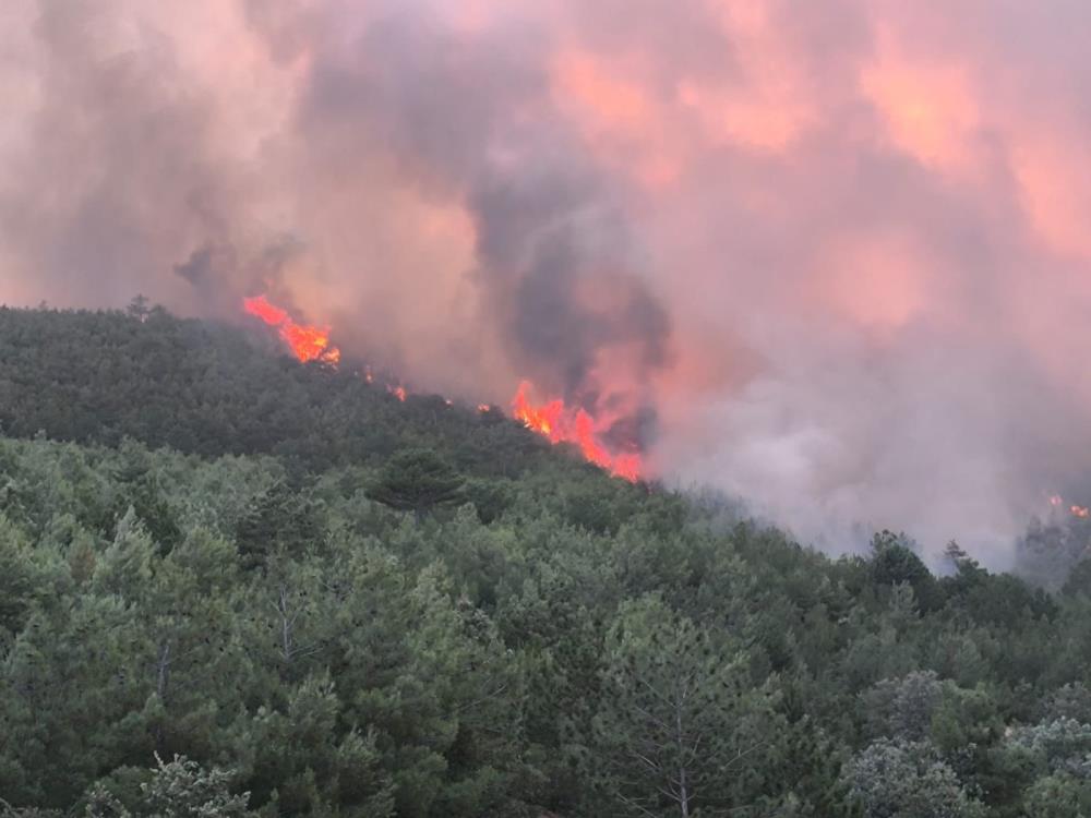 Uşak’ta ormanlık alandaki çıkan yangına müdahale devam ediyor