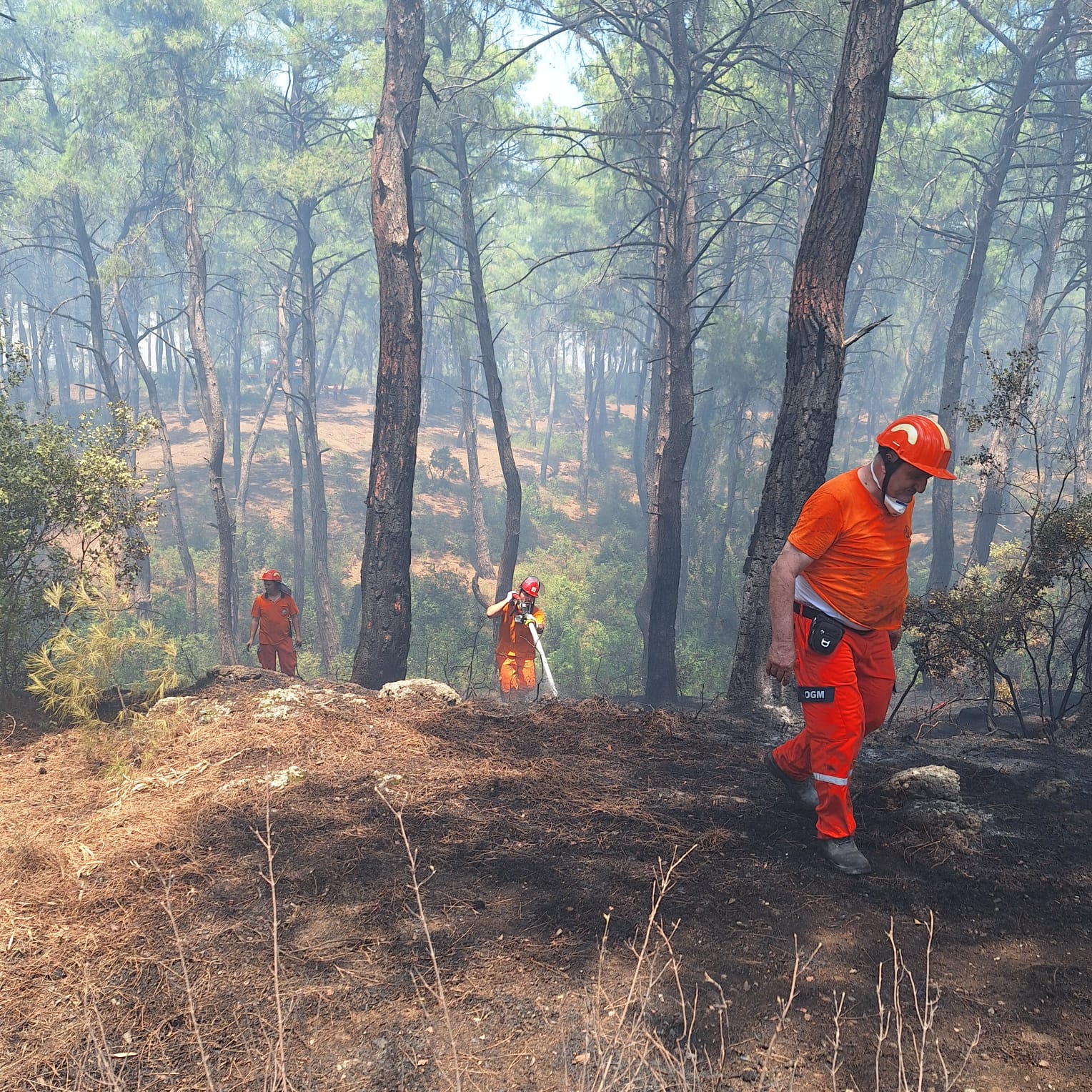 Antalya’da çıkan orman yangını kontrol altına alındı