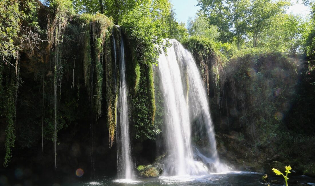 Antalya Büyükşehir Belediyesi’nin bakım