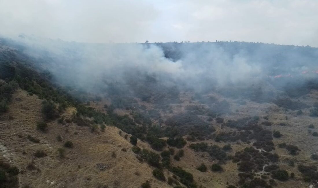 Afyonkarahisar’ın Şuhut ilçesinde ot