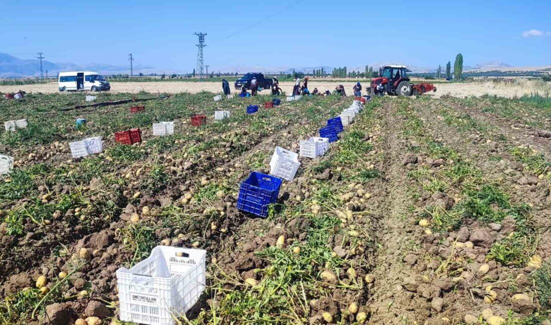 Afyonkarahisar’ın Dinar ilçesinde 30