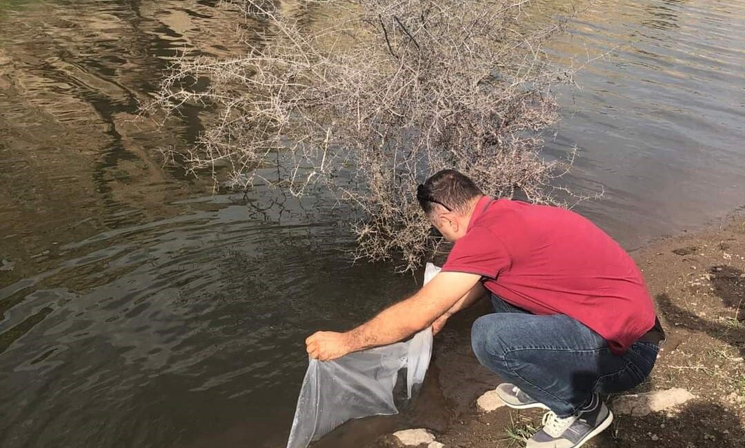 Afyonkarahisar’ın Şuhut ilçesindeki göletlere