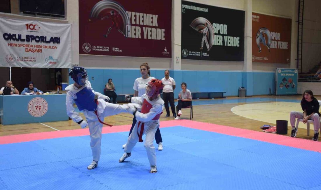 Afyonkarahisar’da gerçekleştirilen Taekwondo İl