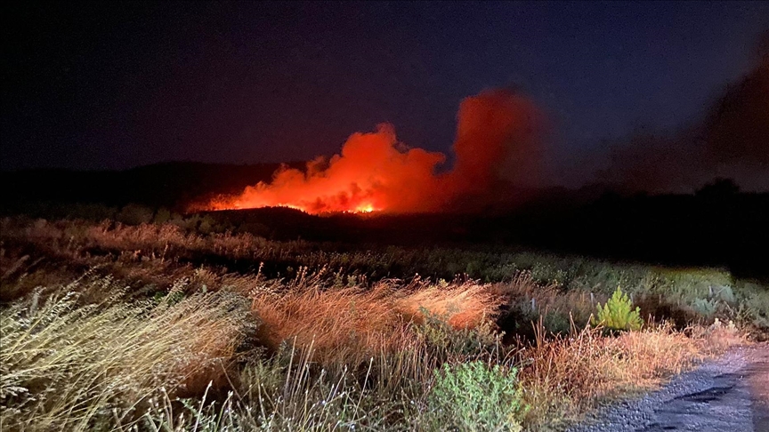 Çanakkale’nin Ayvacık ilçesinde çıkan orman yangınına müdahale ediliyor