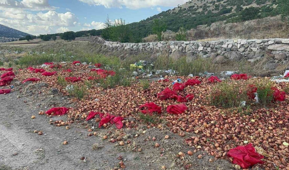 Afyonkarahisar’ın Bolvadin ilçesinde bir