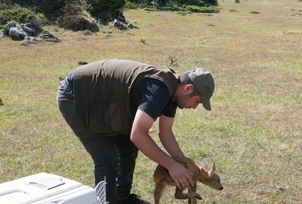 Kastamonu’da köylüler tarafından yaralı