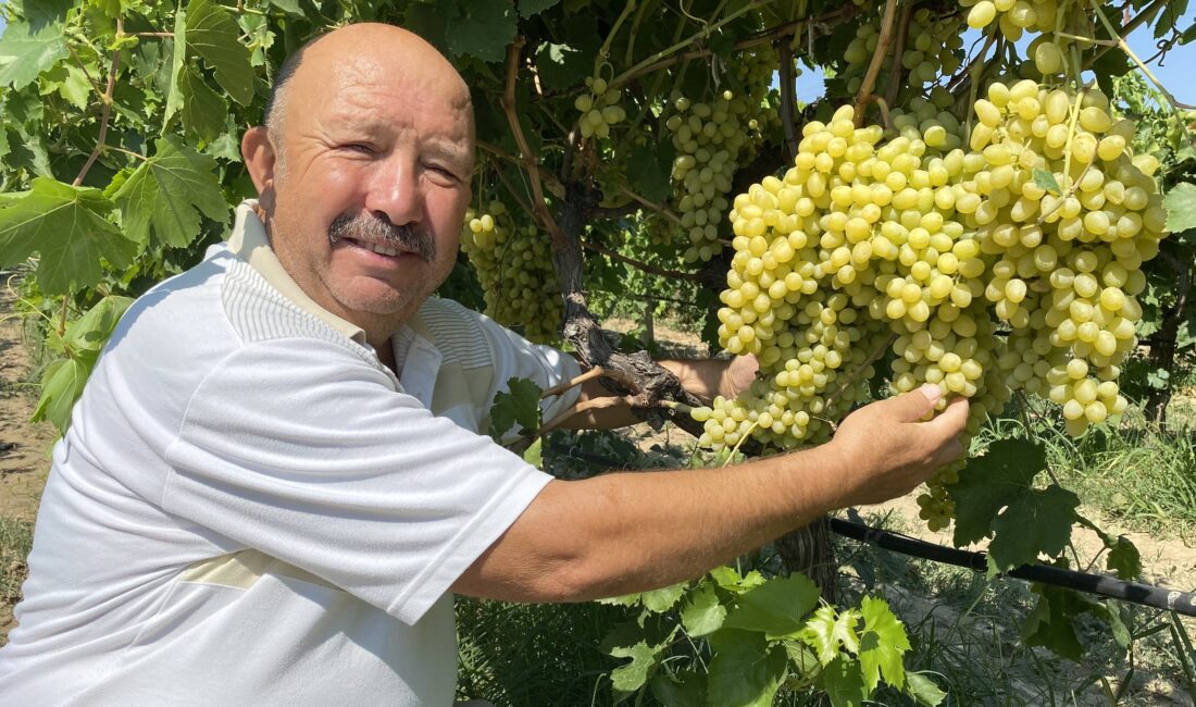  Manisa’nın Alaşehir Ticaret ve