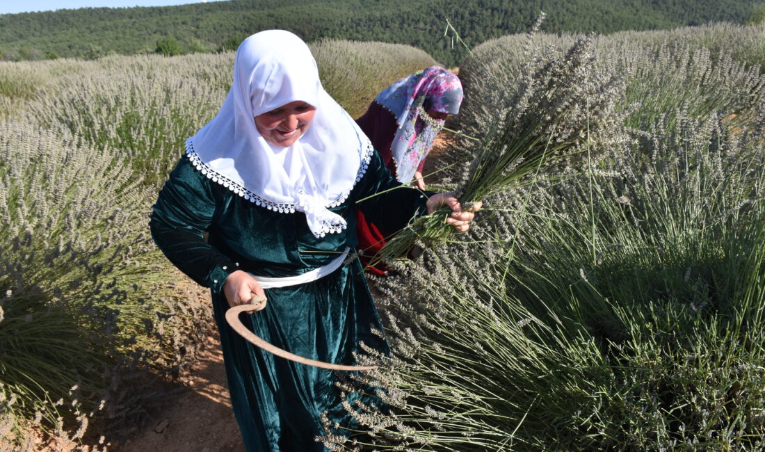 Afyonkarahisar’ın Dazkırı ilçesine bağlı