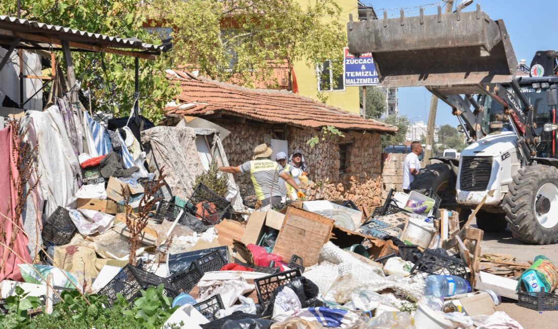 Antalya Kepez Belediyesi, Güneş