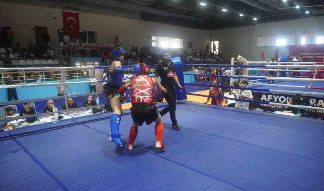 Muaythai İller Arası Zafer