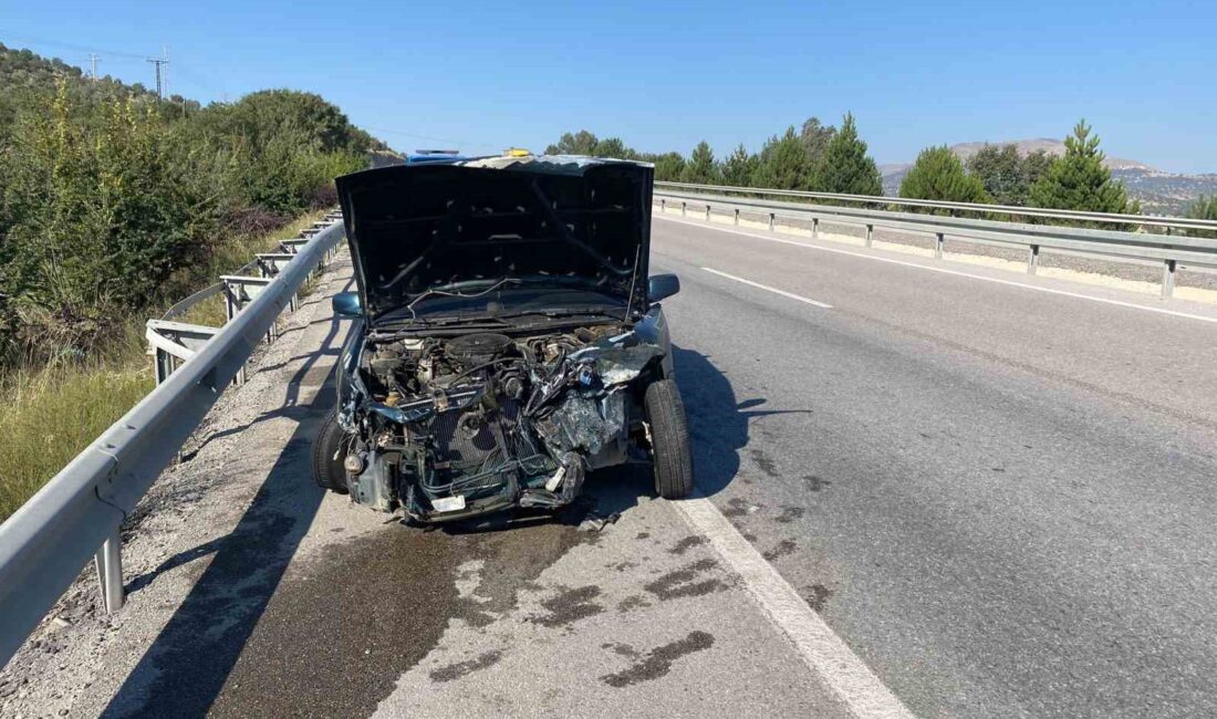 Afyonkarahisar’da refüje girerek bariyerlere