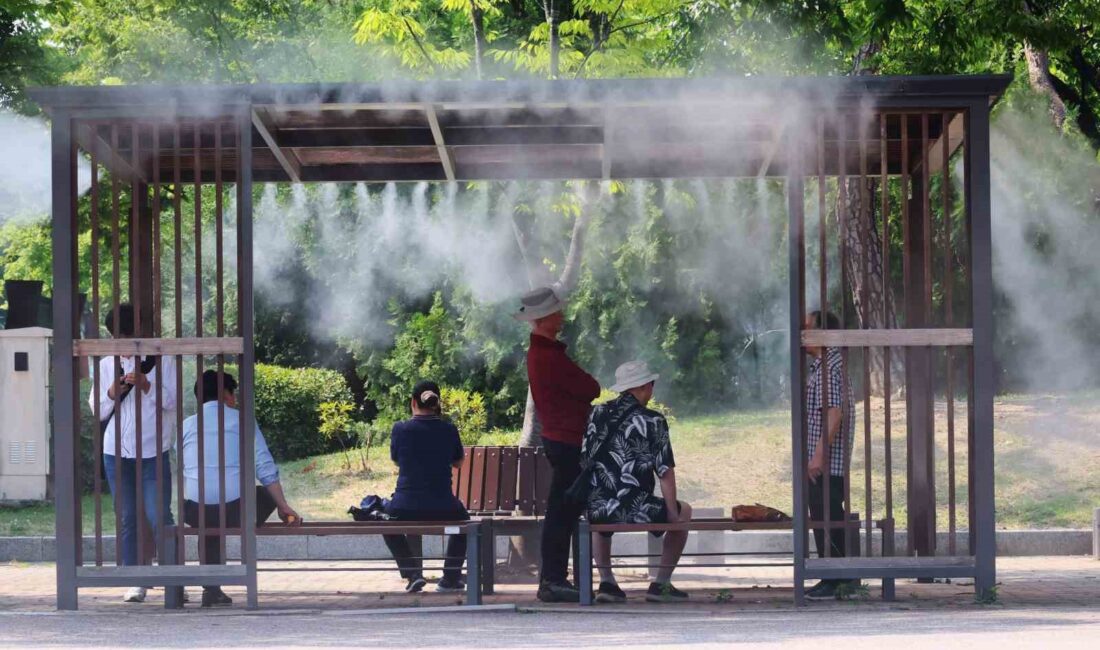 Güney Kore’de bu yıl