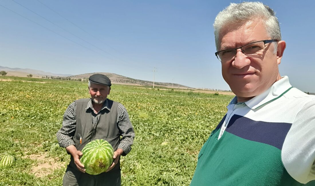 Afyonkarahisar Belediye Meclisi Başkanvekili