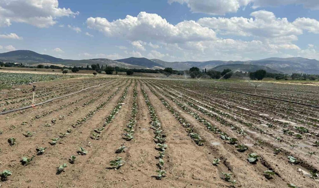 Afyonkarahisar’ın Sinanpaşa ilçesinde ilçe