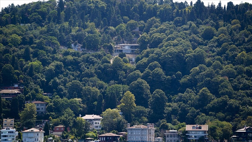 İstanbul Vaniköy’deki izinsiz inşaat durduruldu