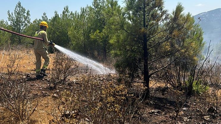 Ormanları yakan 2 zanlı birbirlerini suçladılar