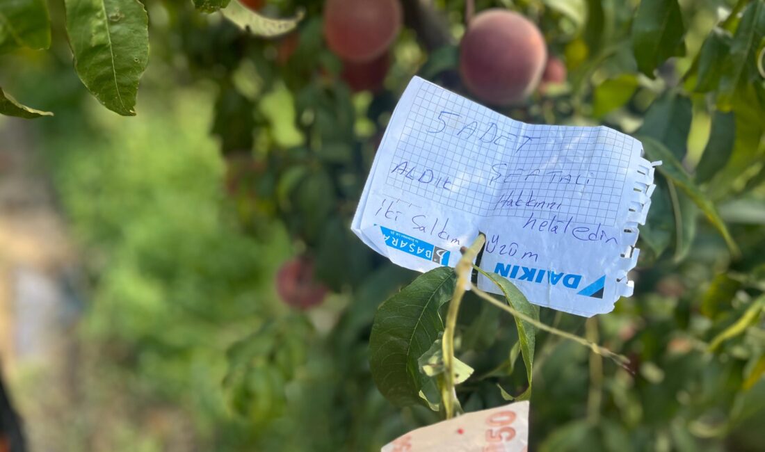 Bursa'nın kırsal mahallelerinden birinin