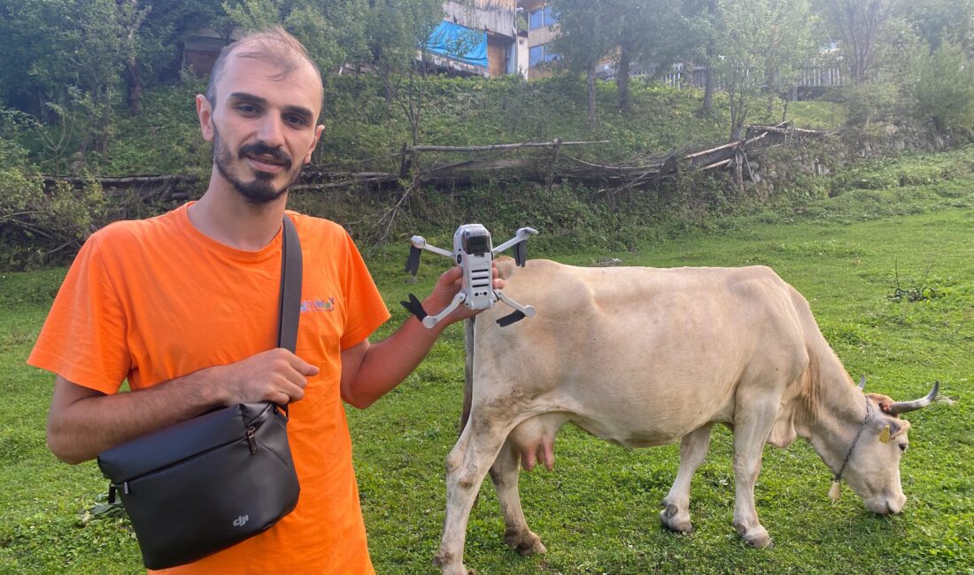 Artvin'in Şavşat ilçesine bağlı