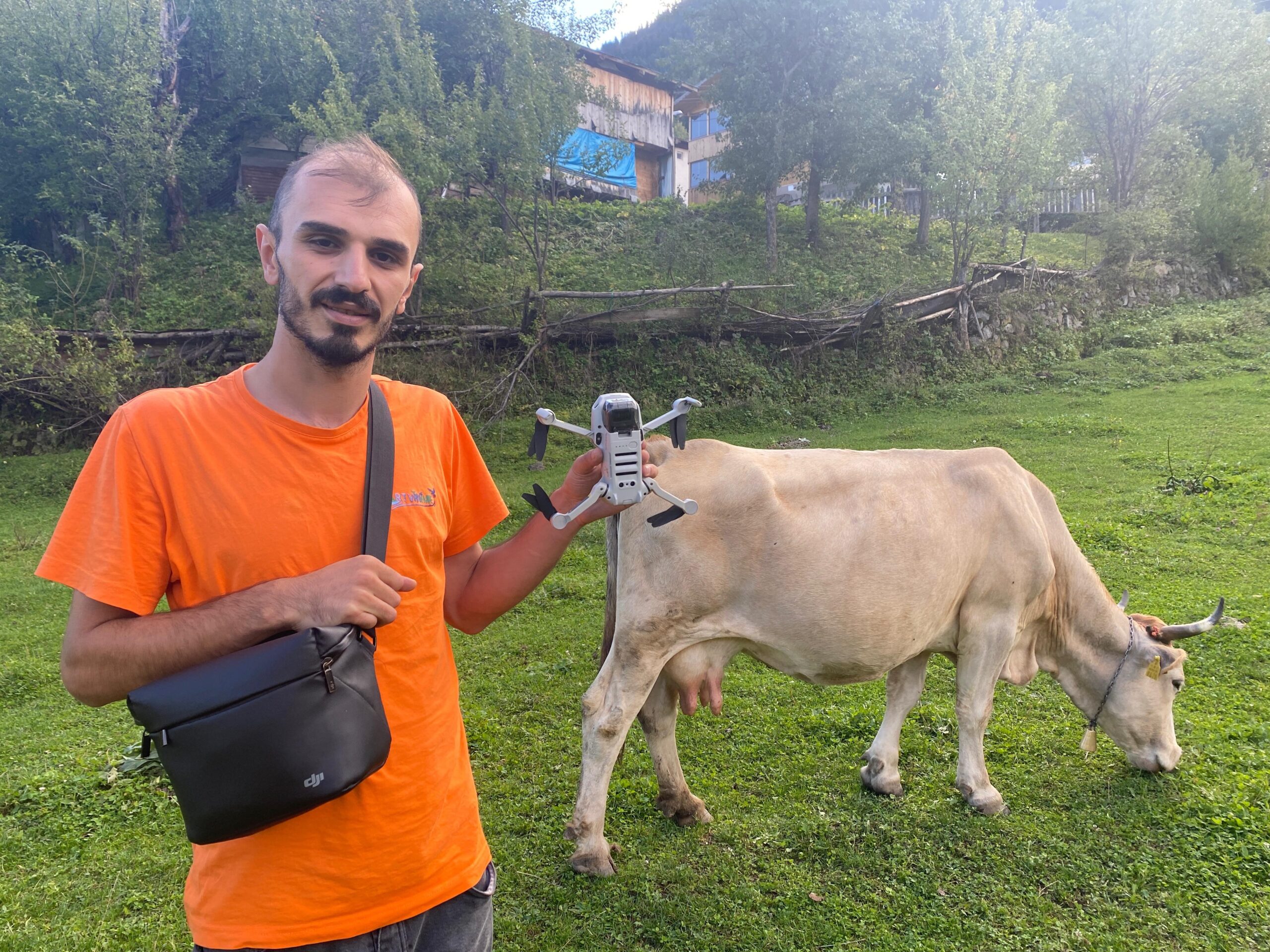 İnek gütmede yeni dönem!