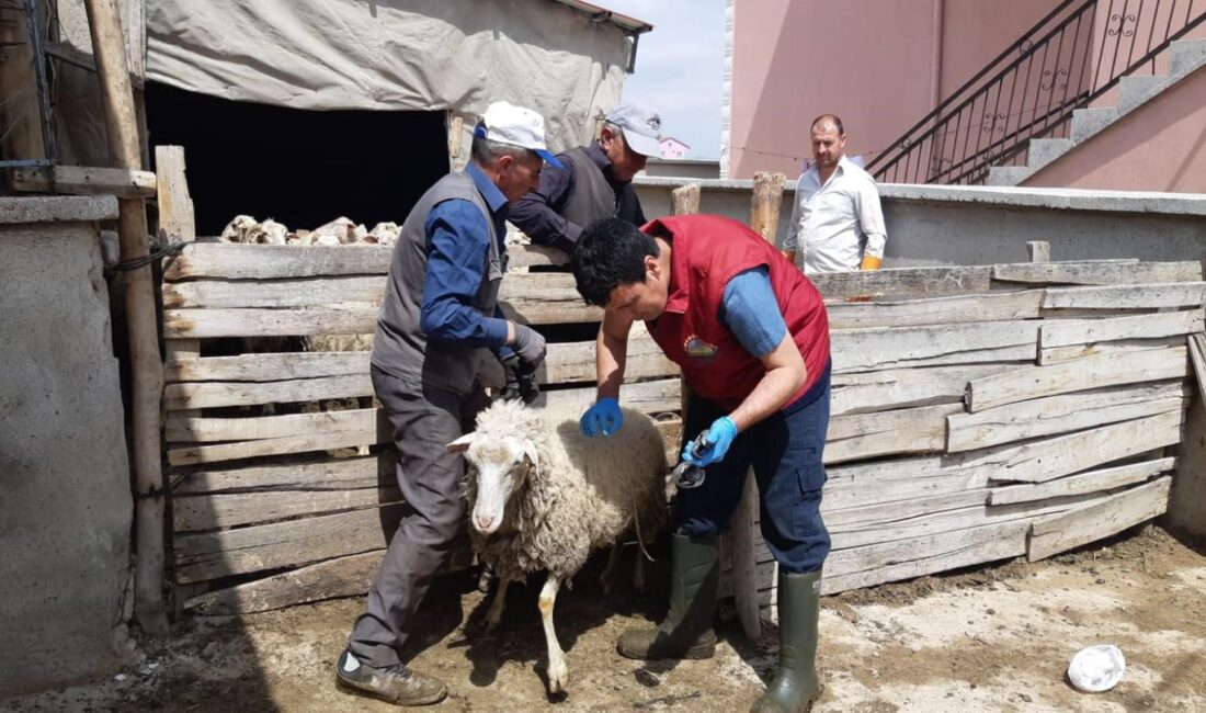 
Tarım ve Orman Bakanlığı'nın